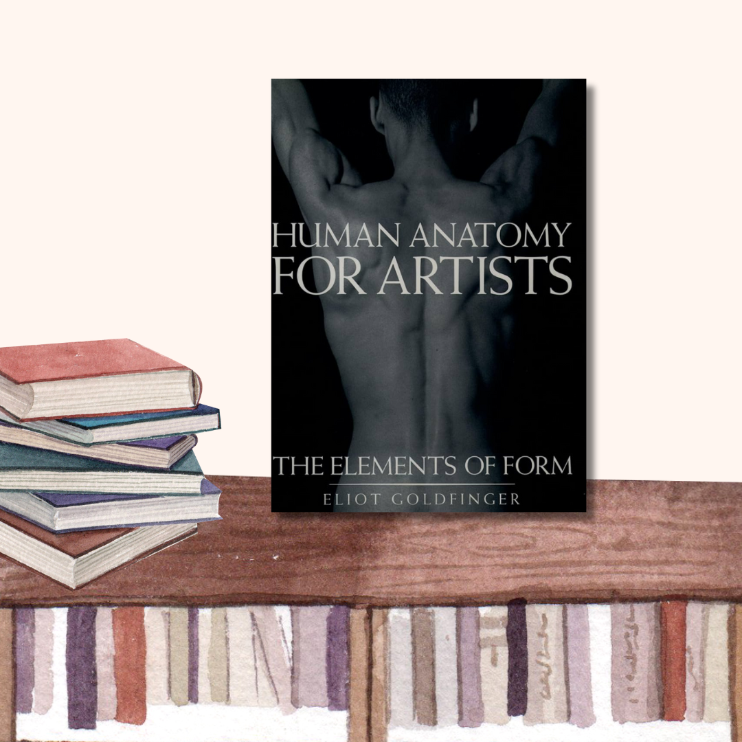 Human Anatomy for Artists: The Elements of Form